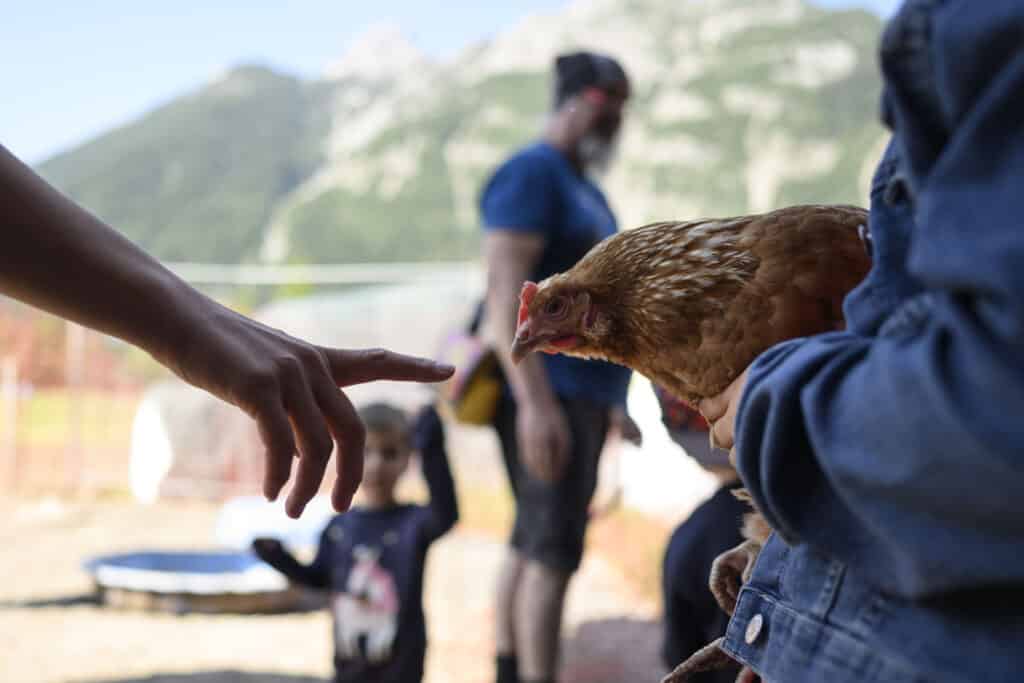 Kinder mit Henne, Mittenwald, Bauernhof